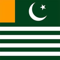 bandeira de Azad Caxemira, cores oficiais. ilustração vetorial. vetor