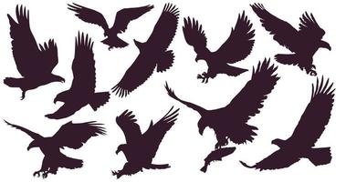 águias. conjunto de rei pássaro. 10 silhuetas de águias. uma águia atacante voando no céu com uma grande envergadura. vetor