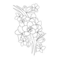 plumeria flor doodle ilustração vetorial de contorno de página para colorir de isolado em fundo branco vetor