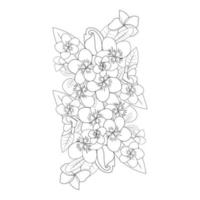 esboço de arte de linha de flor de plumeria com traço de contorno da página para colorir doodle para impressão vetor