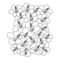 arte de linha de flor de hibisco desenhando esboço de ilustração vetorial de traço preto sobre fundo branco vetor