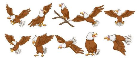 conjunto de desenhos animados de águia vetor