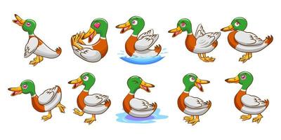 conjunto de desenhos animados de pato vetor