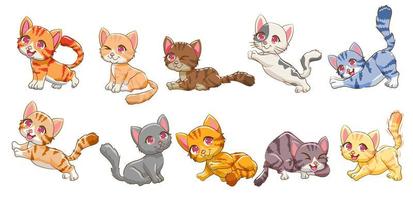 conjunto de gato colorido dos desenhos animados vetor