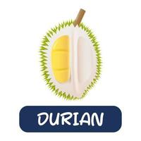 vetor de frutas durian dos desenhos animados isolado no fundo branco