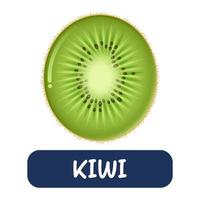 vetor de kiwi dos desenhos animados isolado no fundo branco