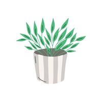 vaso de plantas. ilustração vetorial de flor em um vaso vetor