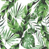 padrão sem emenda em aquarela com folhas verdes tropicais sobre fundo branco. folhas de palmeira, monstera, folhas de bananeira. florestas tropicais. vetor