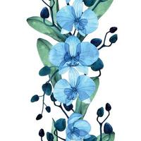 borda sem costura em aquarela com flores de orquídea phalaenopsis transparente azul. impressão sem costura, padrão, borda vertical com flores tropicais transparentes e folhas isoladas no fundo branco vetor