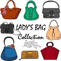 coleção de bolsas femininas moda feminina vetor