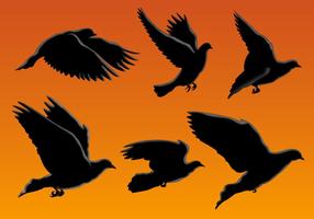Vetores de aves silhueta voando