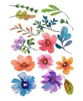 clipart de elementos de flores em aquarela vetor