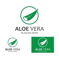 modelo de ilustração vetorial de logotipo de aloe vera vetor