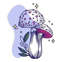 cogumelos de fadas, um par de cogumelos com plantas e um fundo estrelado, gráficos, doodle vetor