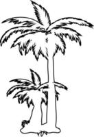os contornos das palmeiras. vetor
