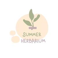 impressão de doodle com planta pequena e texto herbário de verão. vetor
