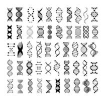 conjunto de ícones de dna vetor