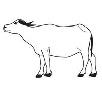 búfalo de água ou vetor de búfalo tailandês. vista lateral. ilustração vetorial em branco