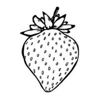 vector clipart de morango. ícone de baga desenhada de mão. ilustração de frutas. para impressão, web, design, decoração
