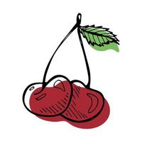 clipart de cereja vetorial. ícone de baga desenhada de mão. ilustração de frutas vetor