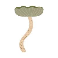 mão desenhada ilustração vetorial de fungo. cogumelos não comestíveis venenosos. estilo de desenho animado. vetor