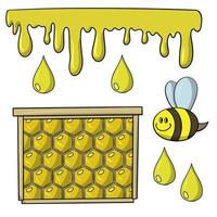 um conjunto de fotos, coleção de mel, gotejamento de mel, ilustração vetorial em estilo cartoon em um fundo branco vetor