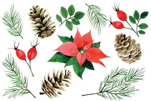 Natal em aquarela, conjunto de inverno. poinsétia, bagas vermelhas e folhas de rosa selvagem, ramos de abeto e cones isolados no fundo branco. coleção vintage para o ano novo