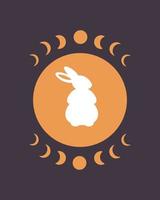 coelho branco fofo com elementos de astrologia. ano do coelho vetor