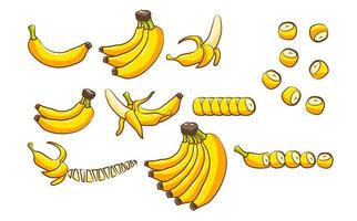 conjunto de frutas de banana vetor