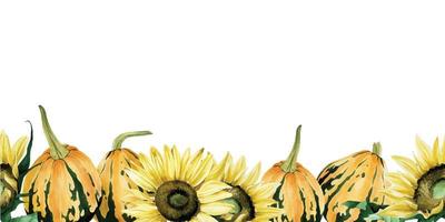 borda de aquarela perfeita com abóboras e girassóis. fronteira, moldura, banner sobre o tema do outono, refrescamento, colheita. Dia de ação de graças. abóboras laranja, girassóis amarelos. vetor