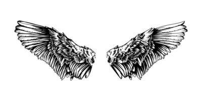 asas de anjo realistas. par de asas de falcão desenhadas à mão dos desenhos animados, modelo de design de asas de pássaro de esboço. conceito de vetor animal de asa de penas bonito branco no fundo branco