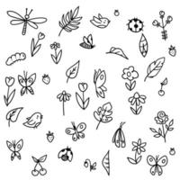 conjunto desenhado à mão de primavera vetorial com plantas florescentes, folhas e insetos voadores em torno de flores e borboletas, insetos, abelhas, ilustração de doodle de esboço floral de joaninha vetor