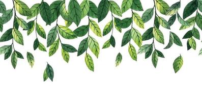 borda sem costura em aquarela, moldura, banner web com simples folhas verdes e galhos. ervas selvagens da floresta, hortelã. isolado no fundo branco vetor