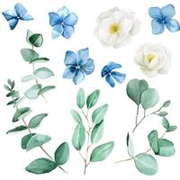 padrão sem emenda com flores de rosa mosqueta branca em aquarela. flores de hortênsia azul e folhas de eucalipto. padrão vintage com flores e folhas em um fundo branco vetor