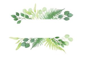 ilustração em aquarela. quadro, fronteira com folhas de floresta tropical abstrata simples. folhas verdes de samambaia e eucalipto, isoladas no fundo branco. vetor