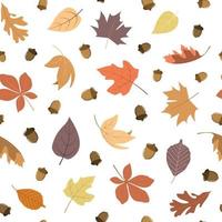 bela floresta de outono pastel folhas caindo com bolotas bonitos. ilustração vetorial sazonal de fundo legal. fundo de vetor específico da temporada de outono. folhagem de carvalho e bordo.