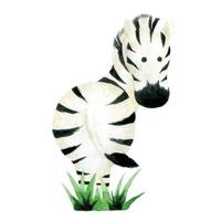 desenho em aquarela. personagem de zebra fofo. isolado no fundo branco zebra animal. desenho para crianças animais da floresta, zoológico vetor