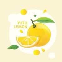 ilustração vetorial de limão yuzu fresco vetor