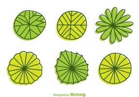 Plant View View Vectors