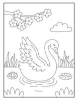 lindos cisnes para colorir para crianças vetor