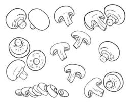 champignons desenhados à mão. cogumelos em estilo de contorno são isolados em um fundo branco. inteiro, corte, fatias, metades. ilustração vetorial preto e branco para design de embalagens de alimentos. vetor