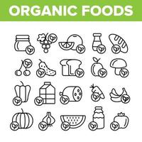 conjunto de ícones de linha fina de vetor de alimentos orgânicos