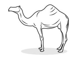 ilustração de arte de linha vetorial de camelo vetor