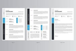 currículo profissional ou cv e modelo de carta de apresentação. vetor profissional