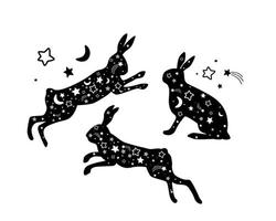 silhuetas de lebres de sonho com estrelas, lua. coelhos pulam, sentam. gráficos vetoriais. vetor