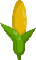 espiga de milho. planta verde amarela. artigo agrícola. milho e milho. Comida natural. ilustração plana de desenho animado vetor