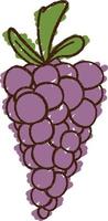 desenho de giz de uvas vetor
