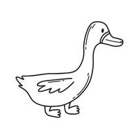 ilustração em vetor de um pato bonito. pato doméstico isolado no fundo branco. estilo infantil. ilustração vetorial. estilo doodle.