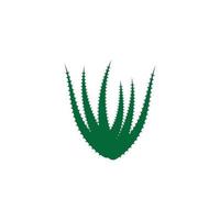 modelo de ilustração vetorial de logotipo de aloe vera vetor