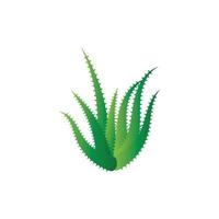 modelo de ilustração vetorial de logotipo de aloe vera vetor